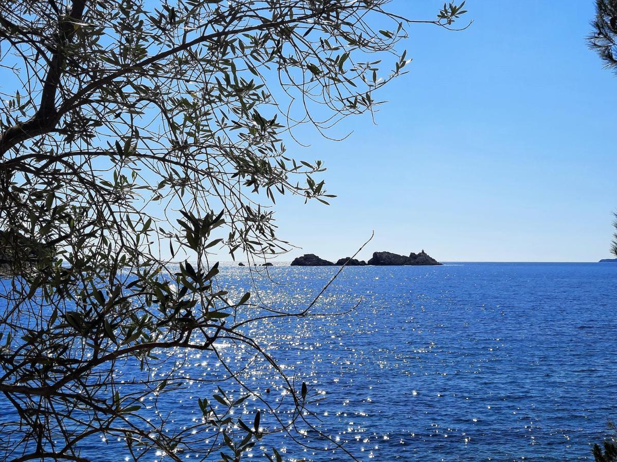 Blue Promenade Apartments Dubrovnik Exterior foto